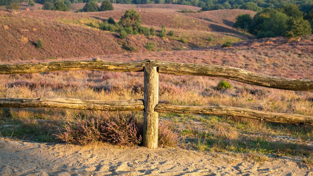 Natuur Veluwe stikstof GroenLinks