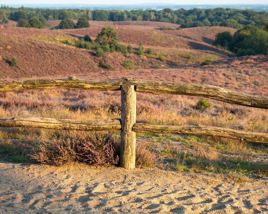 Natuur Veluwe stikstof GroenLinks